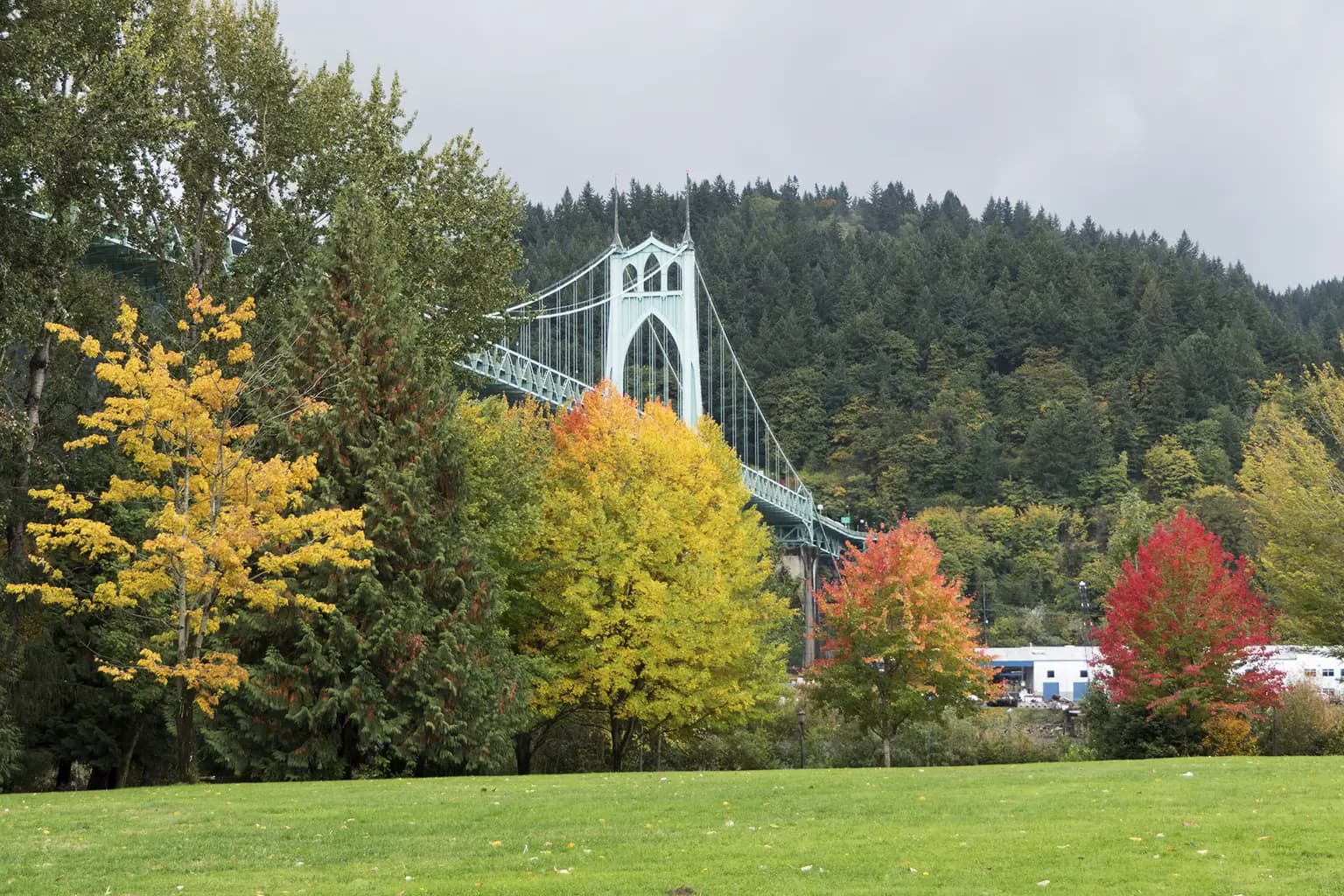 The green gothic towers of the St. Johns Bridge above Cathedral Park in Portland