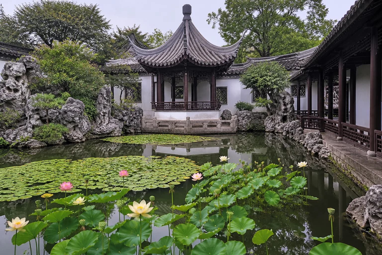 The lotus pond and tile-roofed pavilion at Lan Su Chinese Garden, Portland