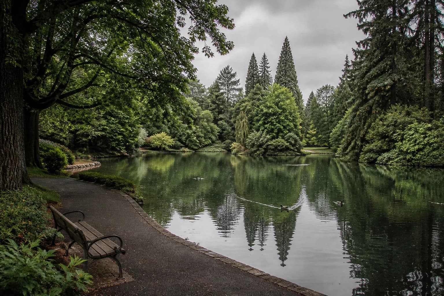 The spring-fed pond ringed by old-growth trees at Laurelhurst Park in Southeast Portland
