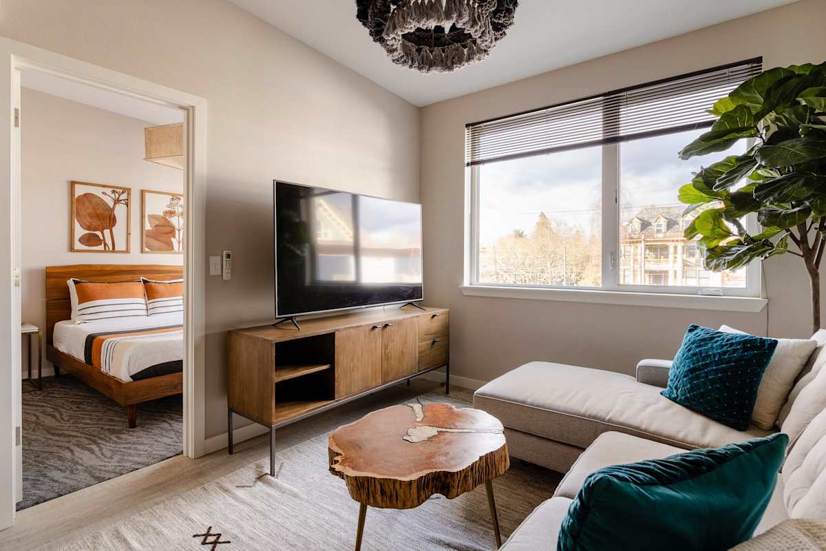 A stylish 1-bedroom apartment with live-edge coffee table, teal accents, and bedroom visible through doorway